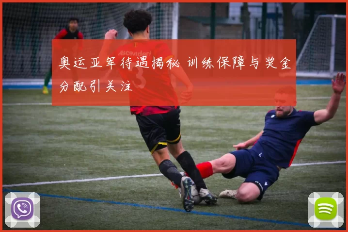 奥运亚军待遇揭秘 训练保障与奖金分配引关注