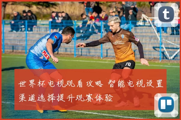 世界杯电视观看攻略 智能电视设置渠道选择提升观赛体验