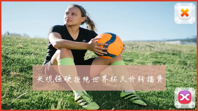 央视强硬拒绝世界杯天价转播费