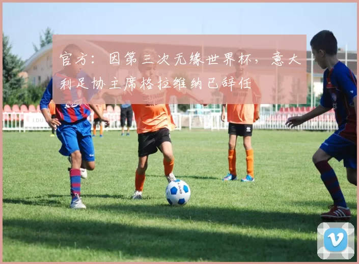 官方：因第三次无缘世界杯，意大利足协主席格拉维纳已辞任