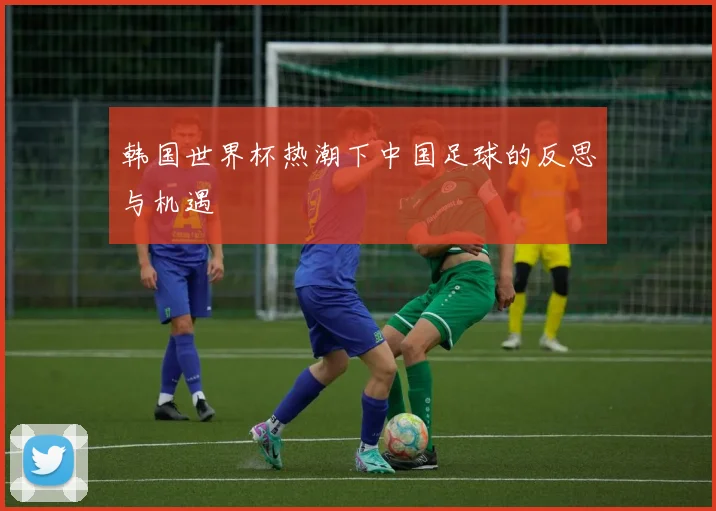 韩国世界杯热潮下中国足球的反思与机遇