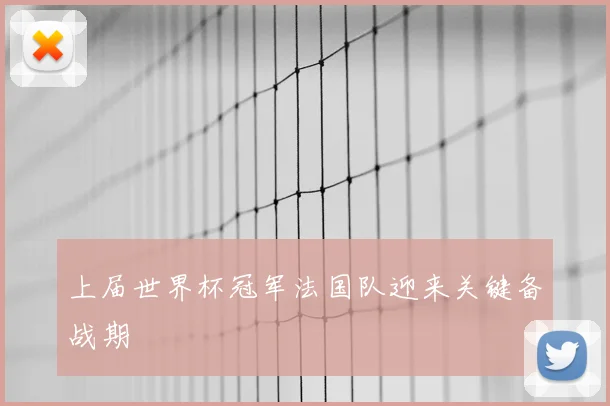 上届世界杯冠军法国队迎来关键备战期