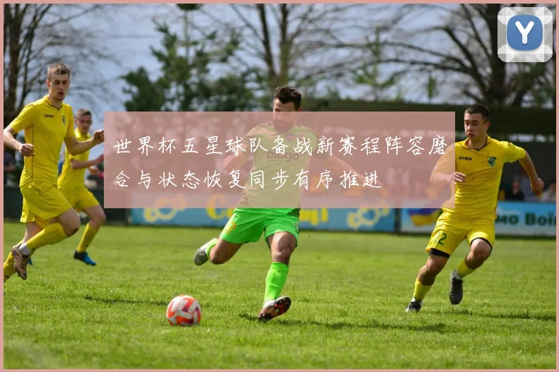 世界杯五星球队备战新赛程阵容磨合与状态恢复同步有序推进
